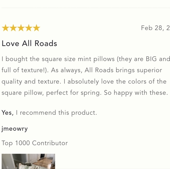 All Roads Textured Primrose Pillow - square - rust & cream - Picture 12 of 12